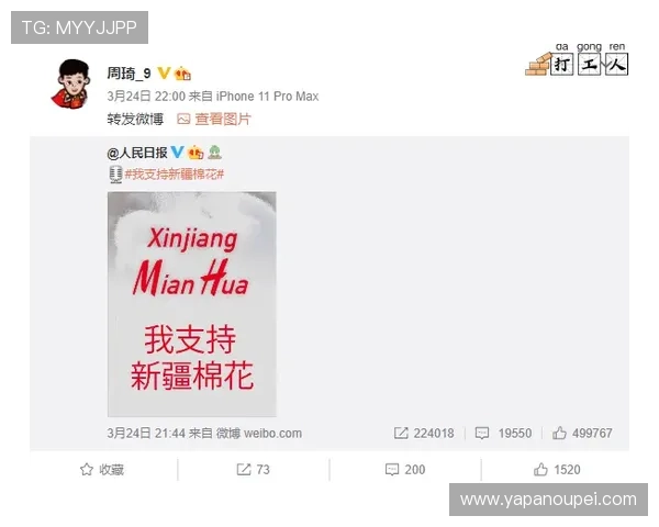 稳胆是什么意思品牌入口下载评测避坑防骗